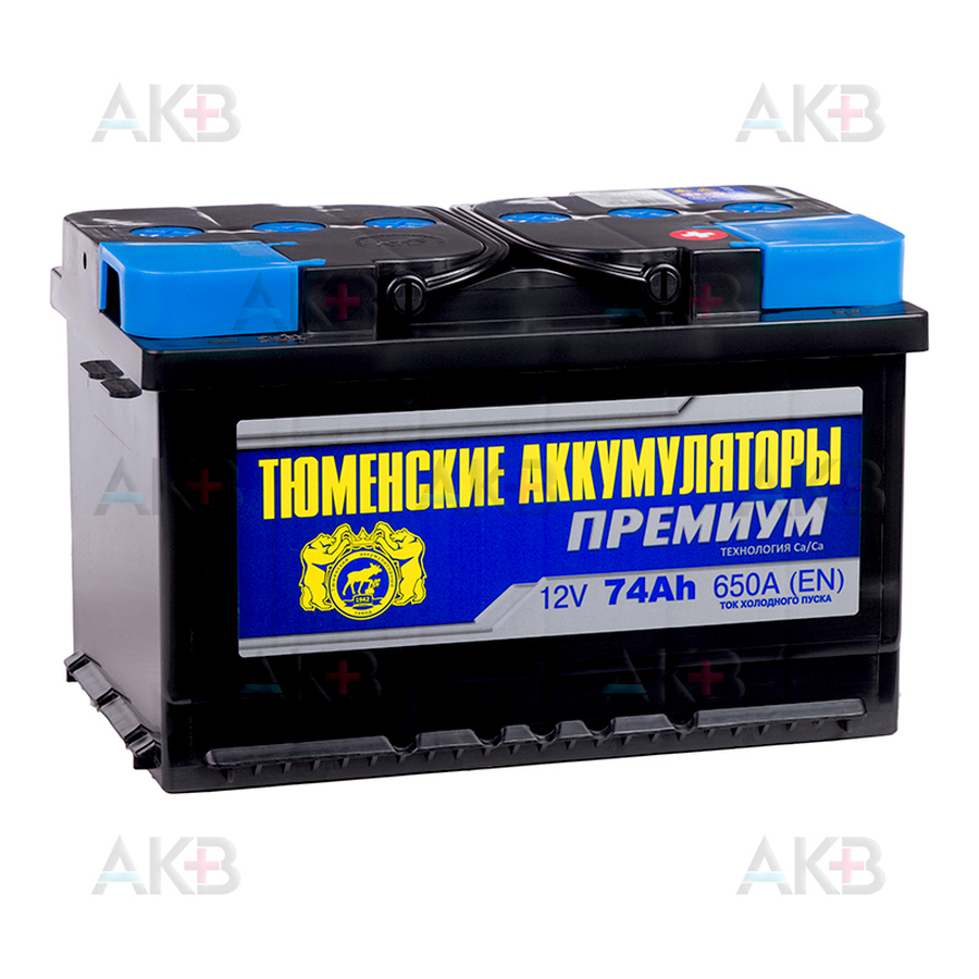 Автомобильный аккумулятор Tyumen Battery Premium 74 Ач обр. пол. низкий 650A (278x175x175)