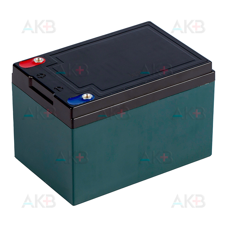Аккумуляторная батарея Rdrive Electro Velo 6-DZF-12 (6-DZM-12) 16 Ач (151x98x95)