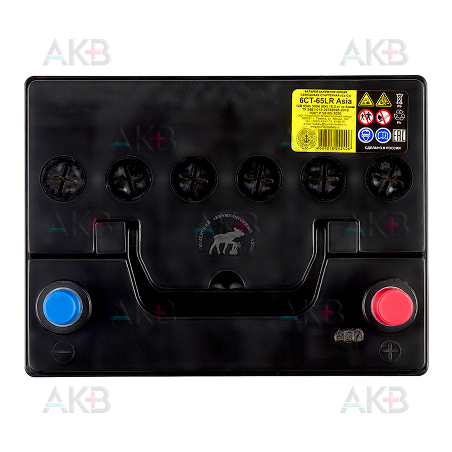 Автомобильный аккумулятор Tyumen Battery Asia 65 Ач обр. пол. 580A (232x173x225)