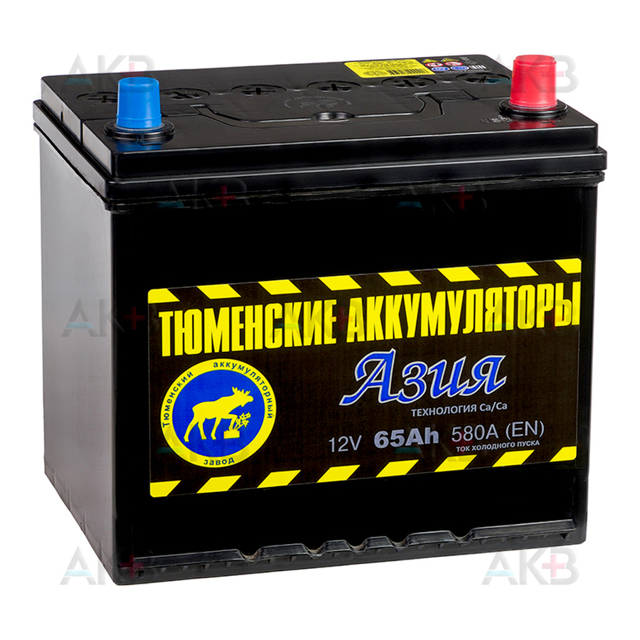 Автомобильный аккумулятор Tyumen Battery Asia 65 Ач обр. пол. 580A (232x173x225)