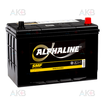 Alphaline Standard 105D31L 90R 750A 302x172x220