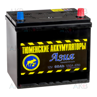 Tyumen Battery Asia 60 Ач обр. пол. 550A (232x173x225)