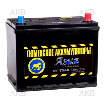 Tyumen Battery Asia 75 Ач обр. пол. 630A (266x173x225)
